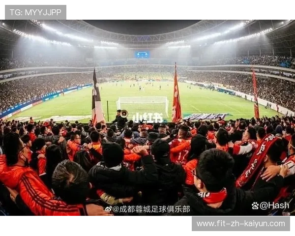 世界杯现场观众体验被赛事方进一步升级，世界杯比赛现场