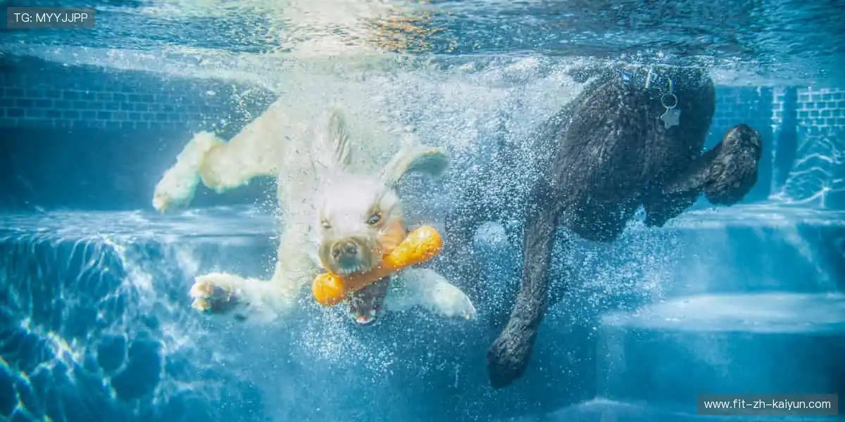 心跳加速,赛事激情来袭!⚡